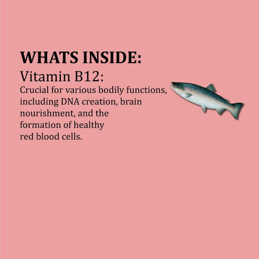 Hi B-12 Supplement – Power-Packed Vitamin for Energy, Mood, and Nervous System Support