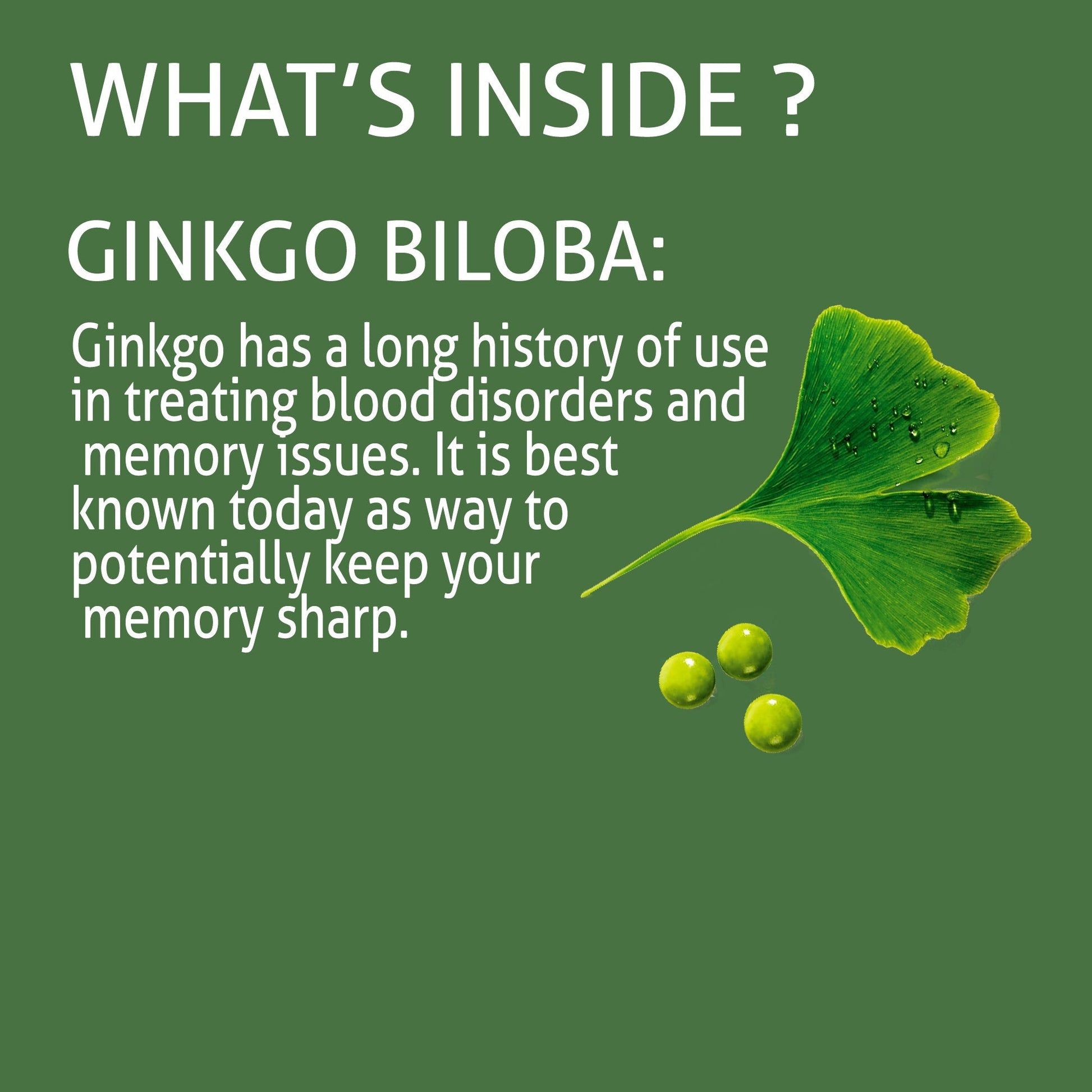 New Ginko Biloba Syrup – Memory & Cognitive Support Formula HI NUTRITION