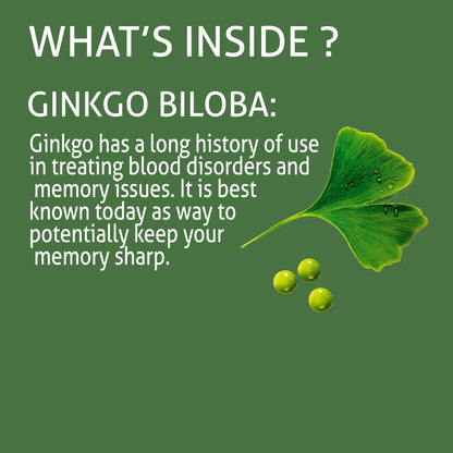 New Ginko Biloba Syrup – Memory & Cognitive Support Formula HI NUTRITION